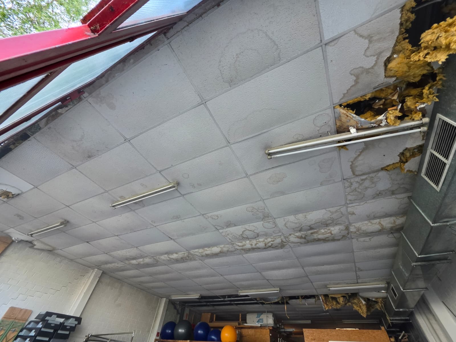Deckenplatten mit Feuchtigkeitsrändern und herausgefallener Dämmung